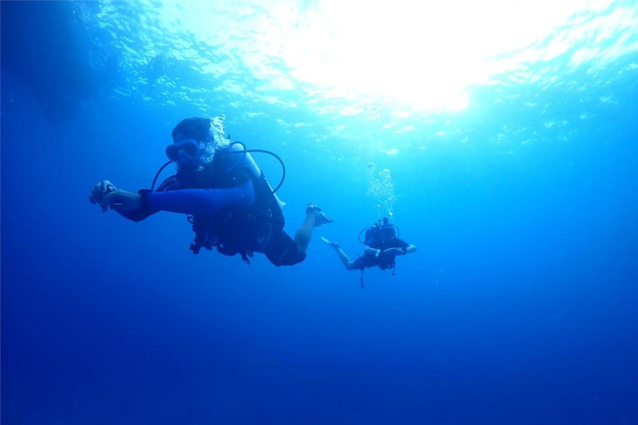 Escape Divers - Jungle Hostel And Dive Centre Koh Tao Exterior photo