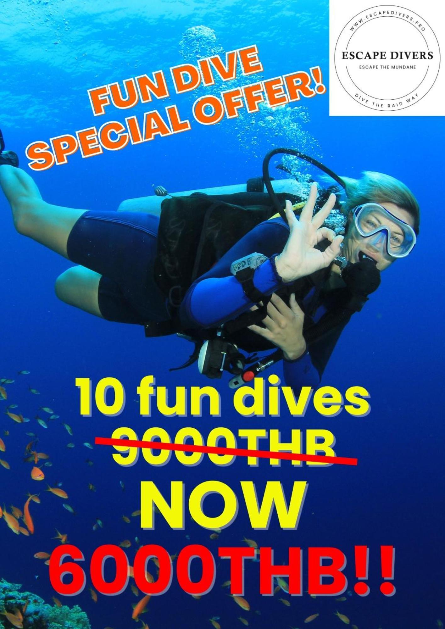 Escape Divers - Jungle Hostel And Dive Centre Koh Tao Exterior photo